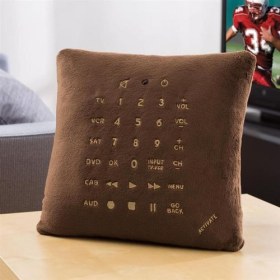 Photo of Star Trek Remote Control Pillow