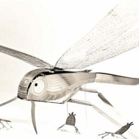 Photo of Bicyclick XLdragonfly XLbug