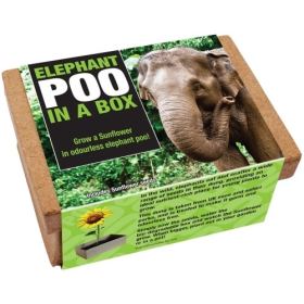 Photo of Brooklyn Brew Shop Elephant Poo in a Box