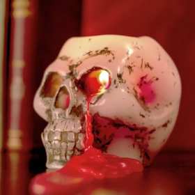 Photo of Doctor Who Bleeding Skull Candle