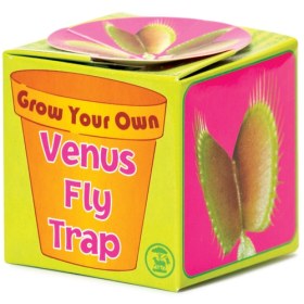 Photo of Bicyclick Grow Your Own Venus Fly Trap