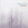 Bare Trees Photo