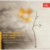 Johannes Brahms: Violin Sonatas Nos. 1 & 3/F.A.E. Sonata Photo