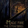 Yep Roc Magic Fire Photo
