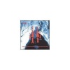 Allegro Walking Cloud & Deep Red Sky Flag Fluttered & CD Photo