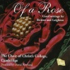 Choral Works of a Rose Photo
