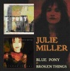 Blue Pony/Broken Things Photo