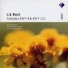 Apex Cantatas Nos. 4 and 131 Photo