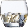 Arcoroc Salto Whiskey Tumbler Photo