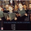 Johann Sebastian Bach: The Great Bach Tradition Photo