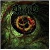 Video Music Inc Womb Of Infirmity CD Photo