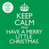 Keep Calm and Have a Merry Little Christmas Photo