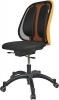 Fellowes Office Suites Mesh Back Support Photo