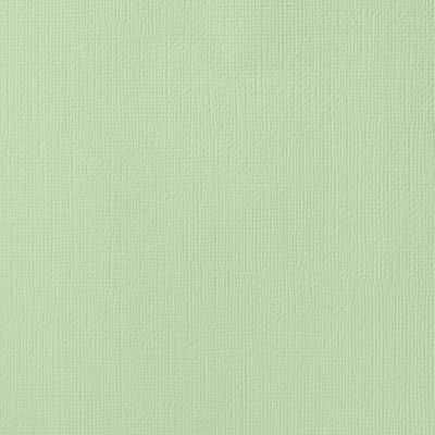 Photo of American Crafts Textured Cardstock - Peapod