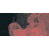 Daler Rowney FW Ink - Pearl Volcano Red Photo