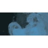 Daler Rowney FW Ink - Pearl Sky Blue Photo