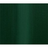 Daler Rowney Georgian Oil - Hookers Green Photo
