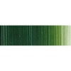 Holbein Duo-Aqua - Terre Verte Hue Water Soluble Oil Colour Photo