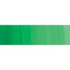 Holbein Duo-Aqua - Luminous Green Photo