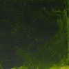 Winsor Newton Griffin Alkyd Oil - Perm Sap Green Photo