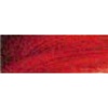 Rembrandt Talens Oil Colour Tube - Permanent Madder Brown Photo