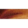 Rembrandt Talens Oil Colour Tube - Stil Grain Brown Photo