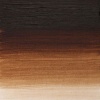 Winsor Newton Winsor And Newton Artists Oil - Burnt Umber Photo