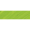 Williamsburg Oil Colour - Cadmium Green Light Photo