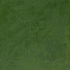 Winsor Newton Winsor & Newton Winton Oil - Oxide of Chromium Photo