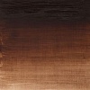 Winsor Newton Winsor & Newton Winton Oil - Burnt Umber Photo