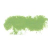 Rembrandt Talens Soft Pastel - Olive Green TR620.8 Photo