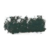 Rembrandt Talens Soft Pastel - Cinnabar Green Deep TR627.2 Photo