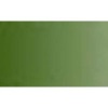 Daler Rowney Artists Watercolour Tube - Terre Verte Hue Photo