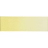 Old Holland Watercolour - Nickel Titanium Yellow Photo