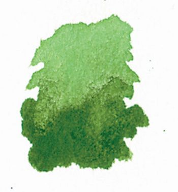 Photo of Dr Ph Martins Dr. Ph. Martin's Hydrus Liquid Watercolour - Sap Green