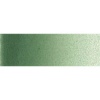 Turner Pub Turner Artist's Watercolour Paint - 15ml - Terre Verte Hue Photo