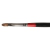 Daler Rowney Georgian Oil Brush - G67 Sable Filbert - 6 Photo