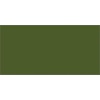 Caran Dache Caran d'Ache Pablo Coloured Pencil - Olive Gray 018 Photo