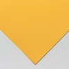 Daler Rowney Murano Pastel Paper - Pineapple Photo