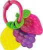 Lamaze Fruity Teether Photo