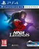 Perp Ninja Legends - PlayStation VR and PlayStation 4 Camera Required Photo