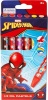 Marvel Spiderman Oil Pastels Photo