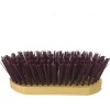 Rider Horse Dandy Brush Photo