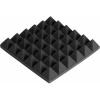 Parrot Acoustic Panels - Pyramid Photo