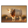 Fancy Artwork Canvas Wall Art :Boran Cattle Breed - Photo