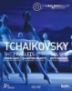 The 3 Ballets at the Bolshoi Photo