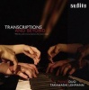 Transcriptions and Beyond Photo