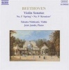 Naxos Beethoven: 'Spring' and 'Kreutzer' Sonatas Photo