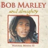 Avid Publications Soul Almighty: Natural Mystic 2 Photo