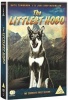 The Littlest Hobo: Season 1 Photo